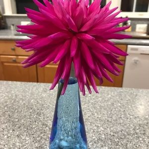 Meet your Posher, Anne